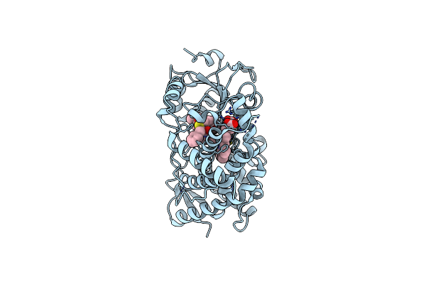 7UFA image