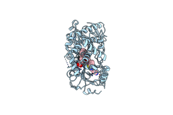 7UFD image