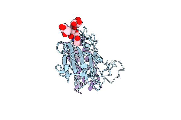 7UHB image