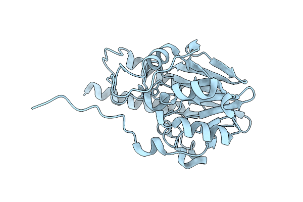 7UHT image