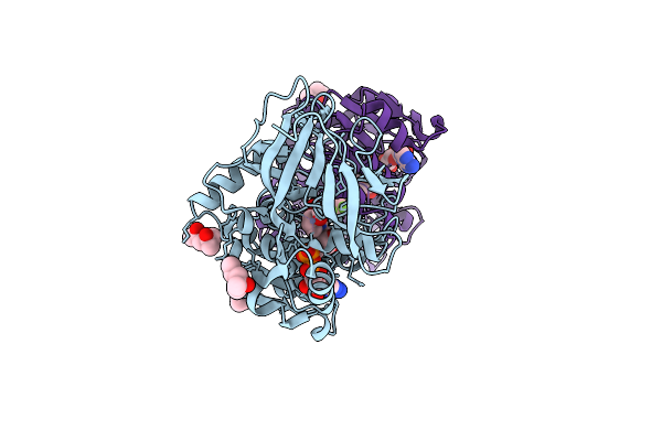 7UHX image