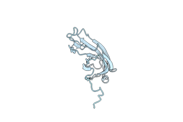 7UII image