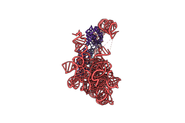 7UIN image