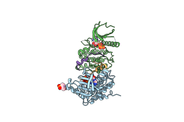 7UIR image