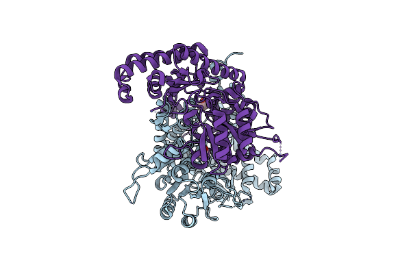 7UJI image