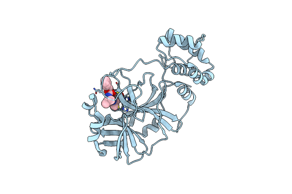 7UKK image