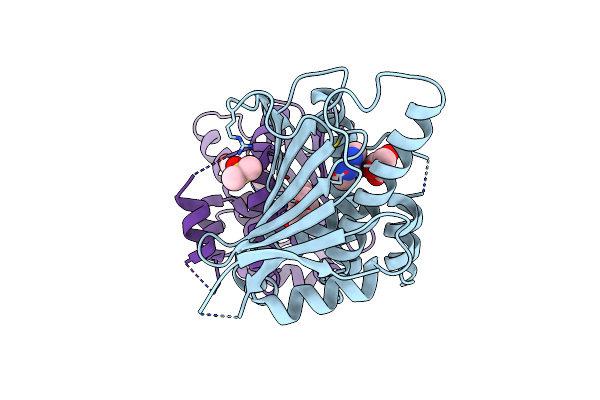 7ULL image