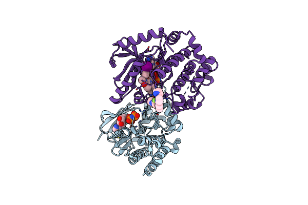 7UMB image