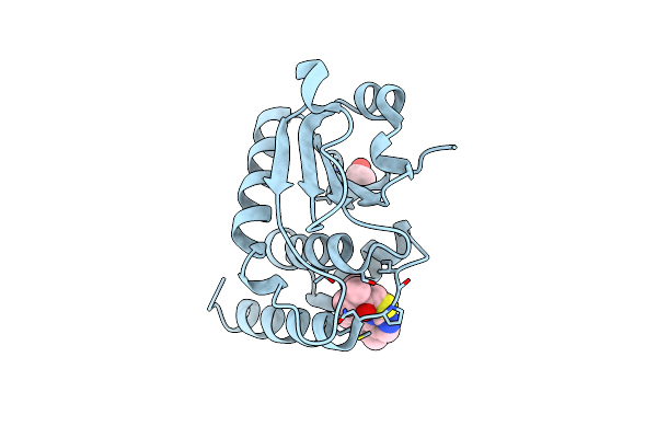 7UMV image