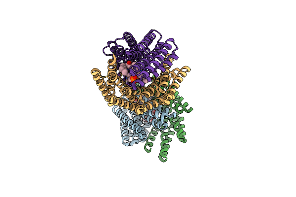7UNI image