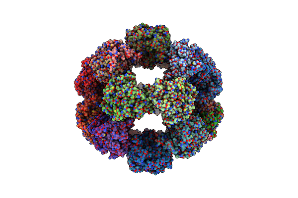 7UOM image