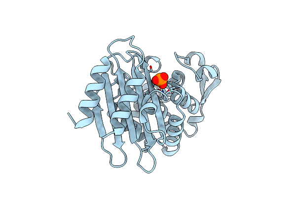 7UON image
