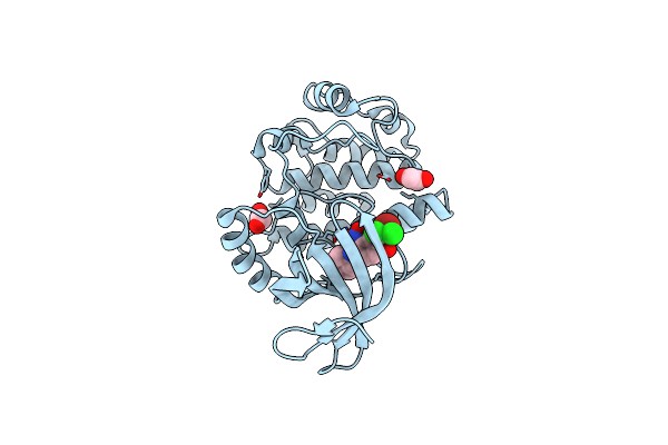 7UOS image