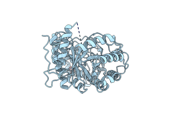 7UPV image