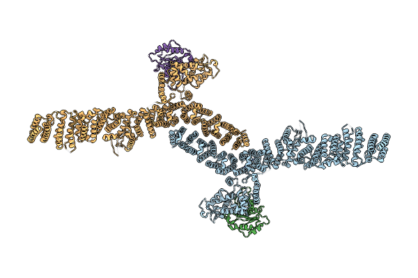 7URO image