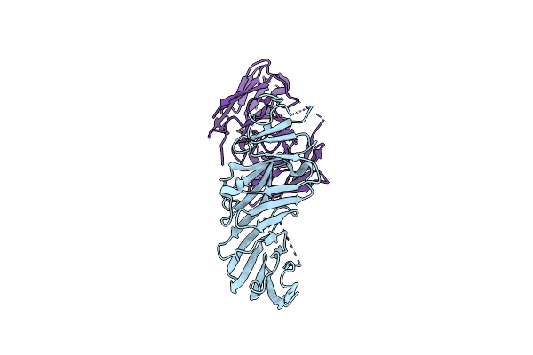7URV image