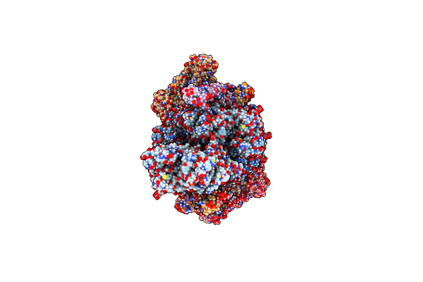7UTI image
