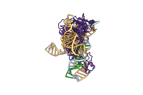7UTN image