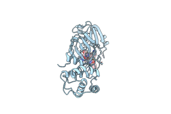 7UUC image
