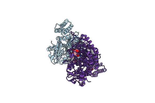 7UVD image