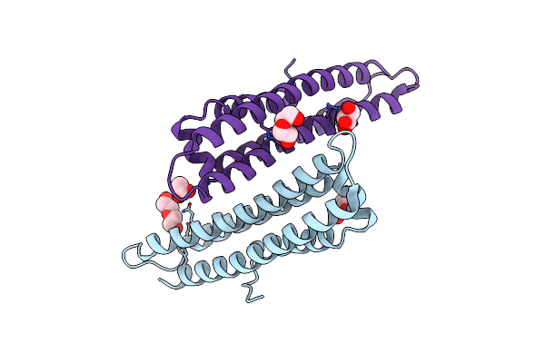 7UVJ image