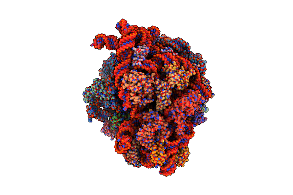 7UVV image
