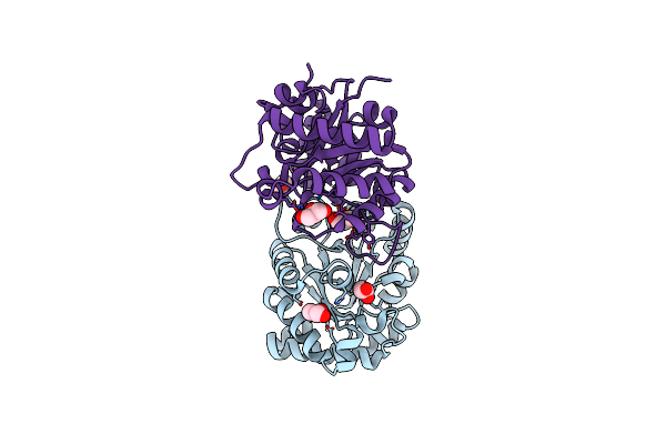 7UXB image