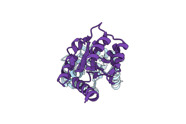 7UXR image