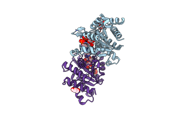 7UXS image