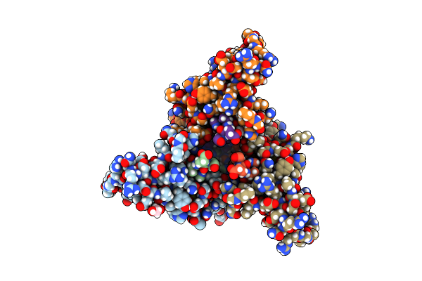 7UZP image