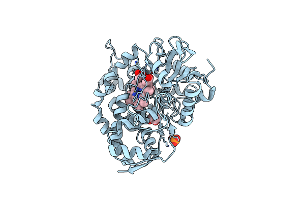 7V44 image