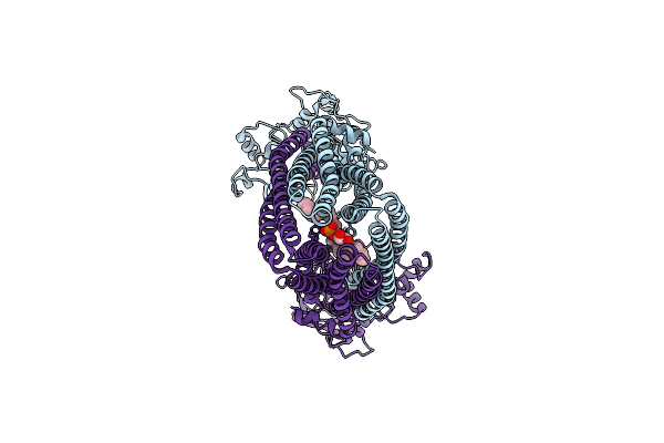 7V5D image