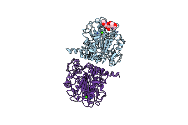 7V6D image