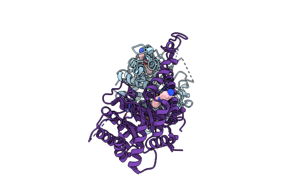 7V6G image