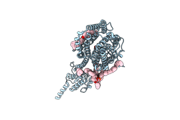 7V74 image