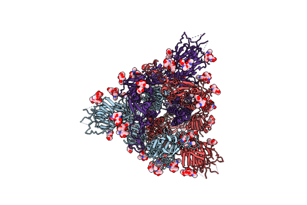 7V7P image