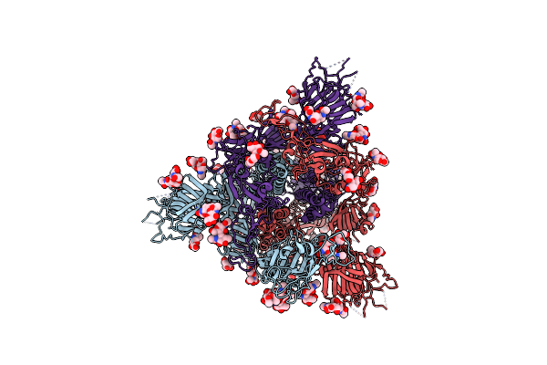 7V7R image