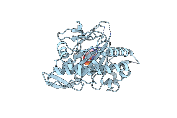 7V7X image