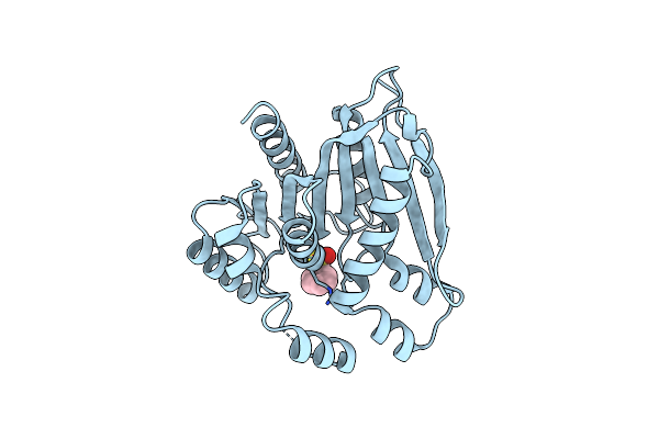 7V8X image