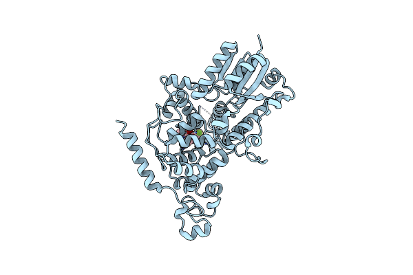 7V8Y image