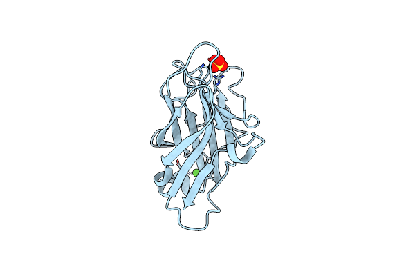 7VBO image