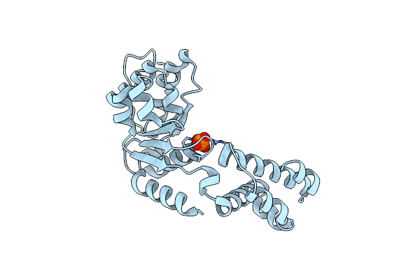 7VBS image