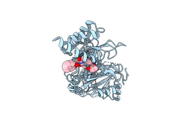7VC8 image