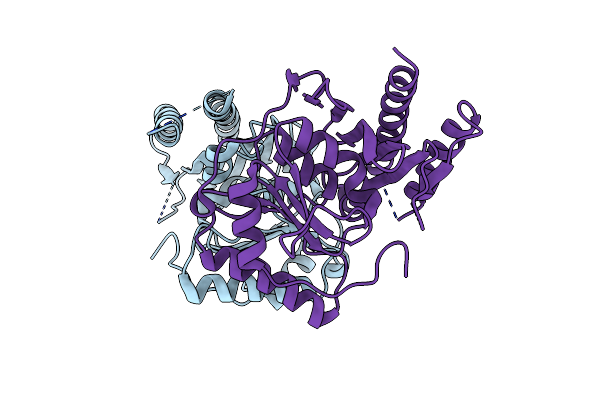 7VCE image
