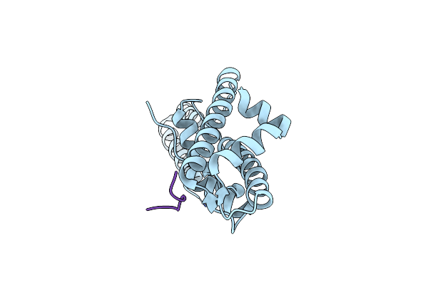 7VCL image