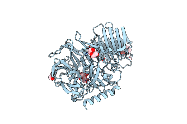 7VCP image