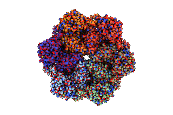 7VCT image