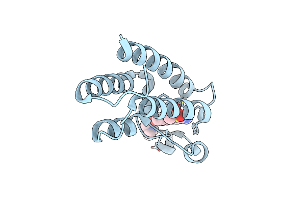 7VD4 image