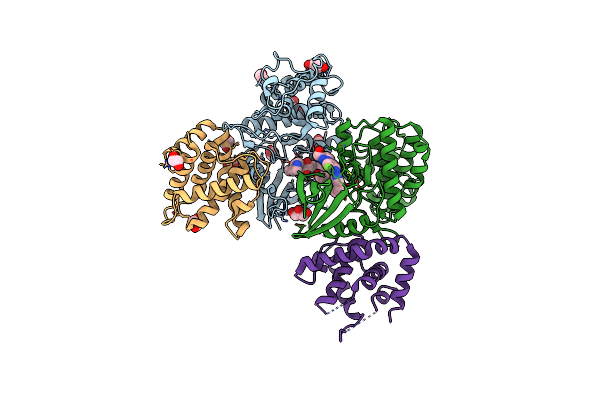 7VDP image