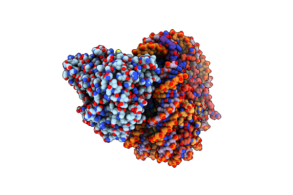 7VDT image